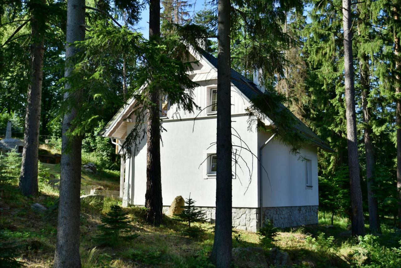 Gorski Domek Kolo Karpacza- Apartamentuj Экстерьер фото